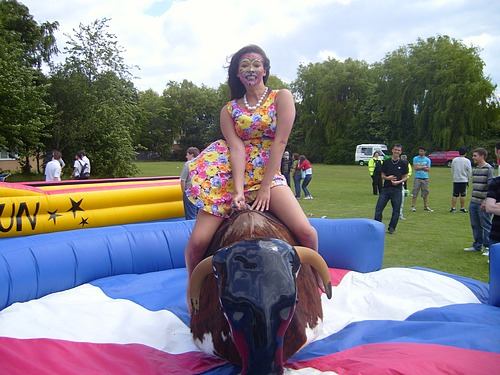 Rodeo Bull Hire 4 Rodeo Bull Hire