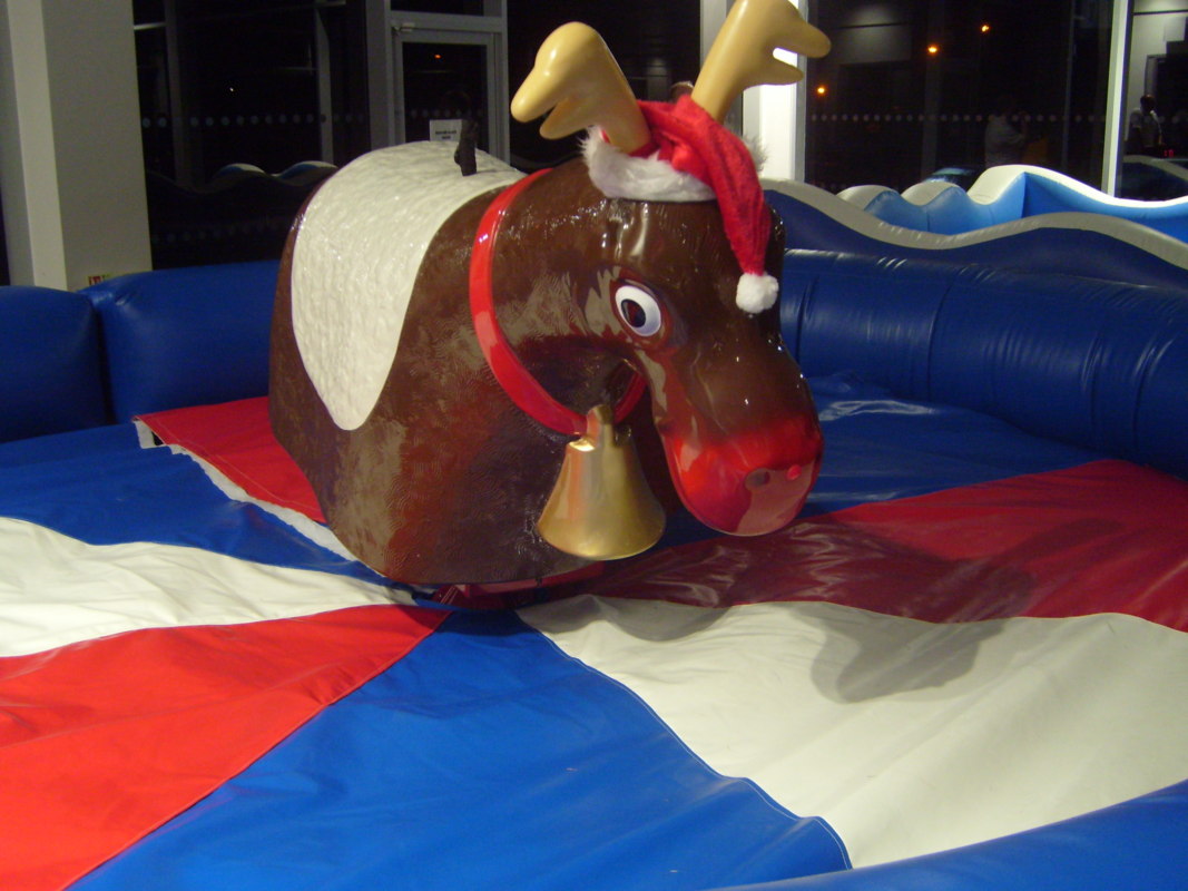Rodeo Reindeer Hire 1 rodeo reindeer hire near me