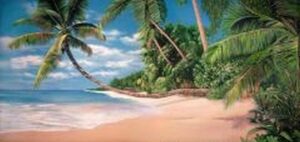 beach party theme hire near me