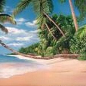 beach party theme hire near me