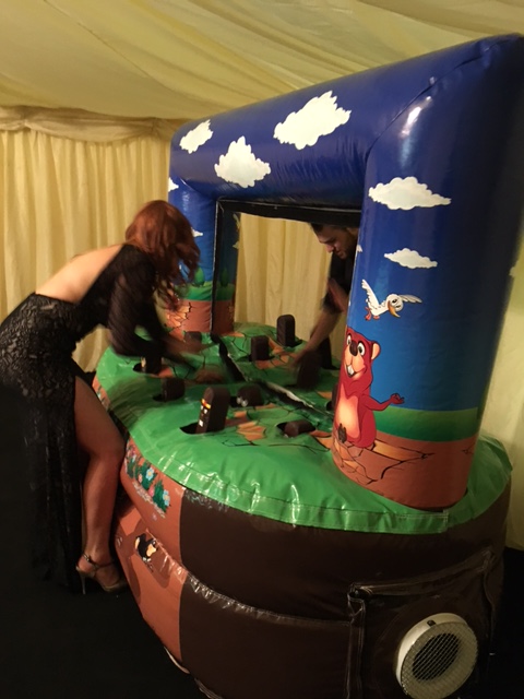 Whack a Mole Arcade Game Hire 2 Wack A Mole Hire