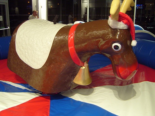 Bucking Reindeer Hire