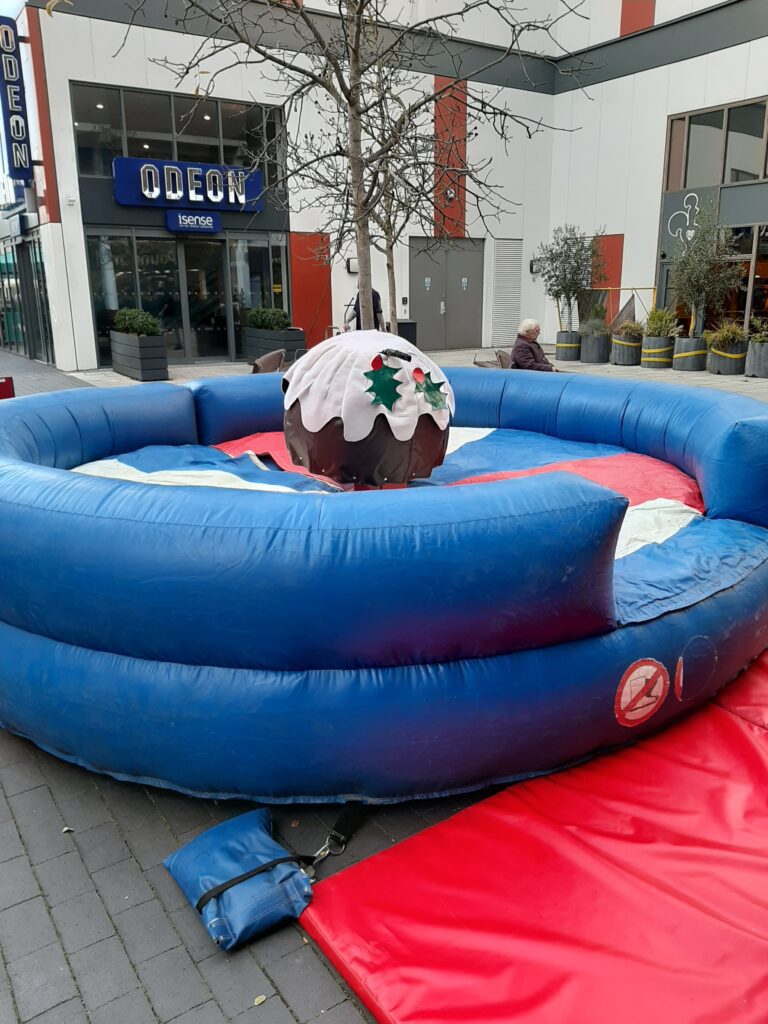 What Rodeo Ride Should I Choose? 6 Rodeo Christmas Pudding Ride Hire