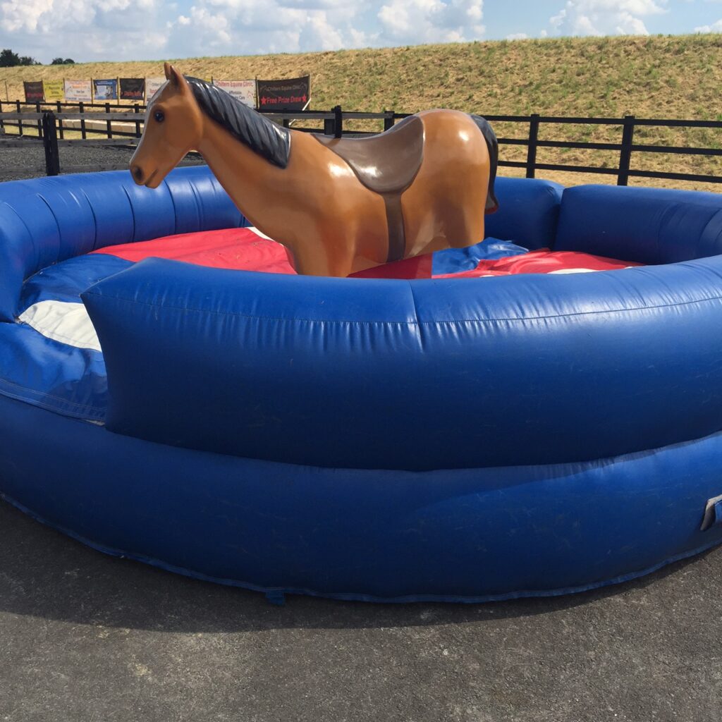 What Rodeo Ride Should I Choose? 4 Rodeo Horse Hire