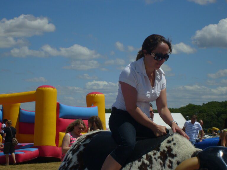 News 7 Rodeo Bull Hire