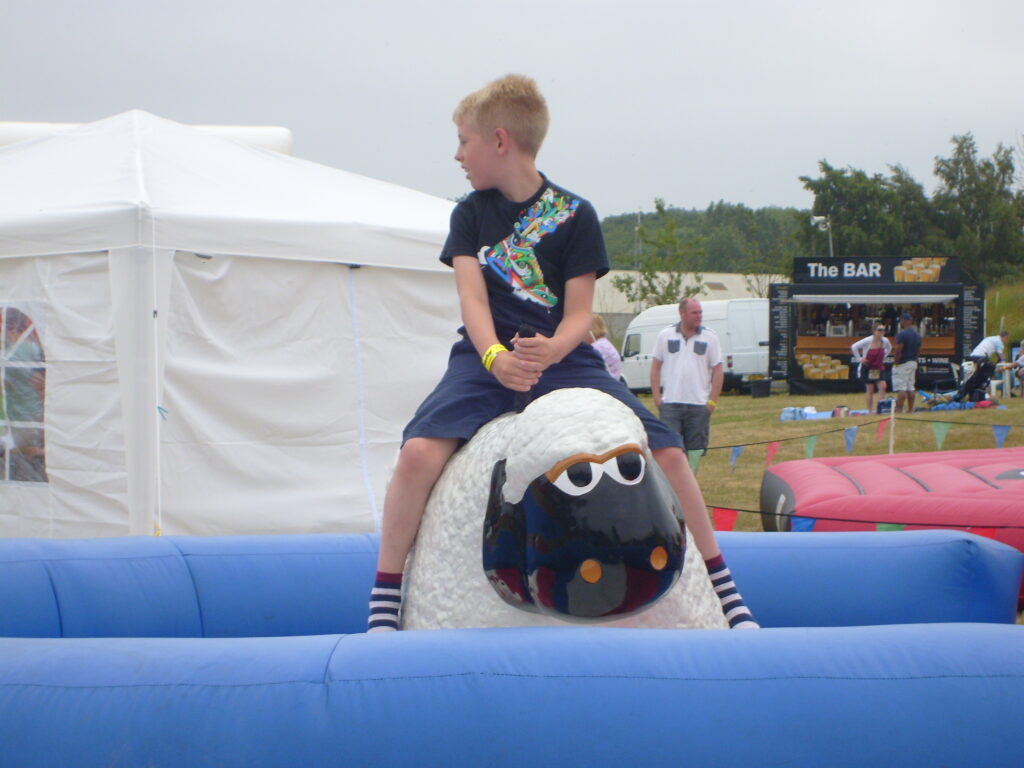 Rodeo Sheep Hire