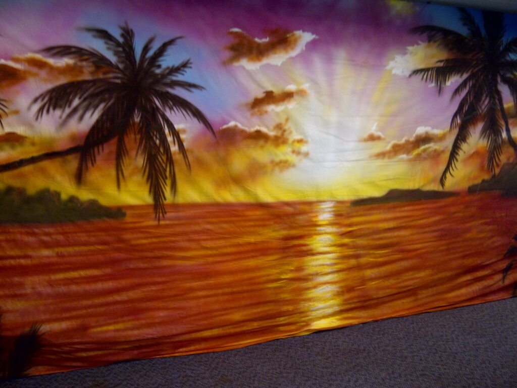 Beach Party Theme Night Hire – The best theme party of them all 4 Sunset Backdrop Hire